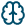 brain